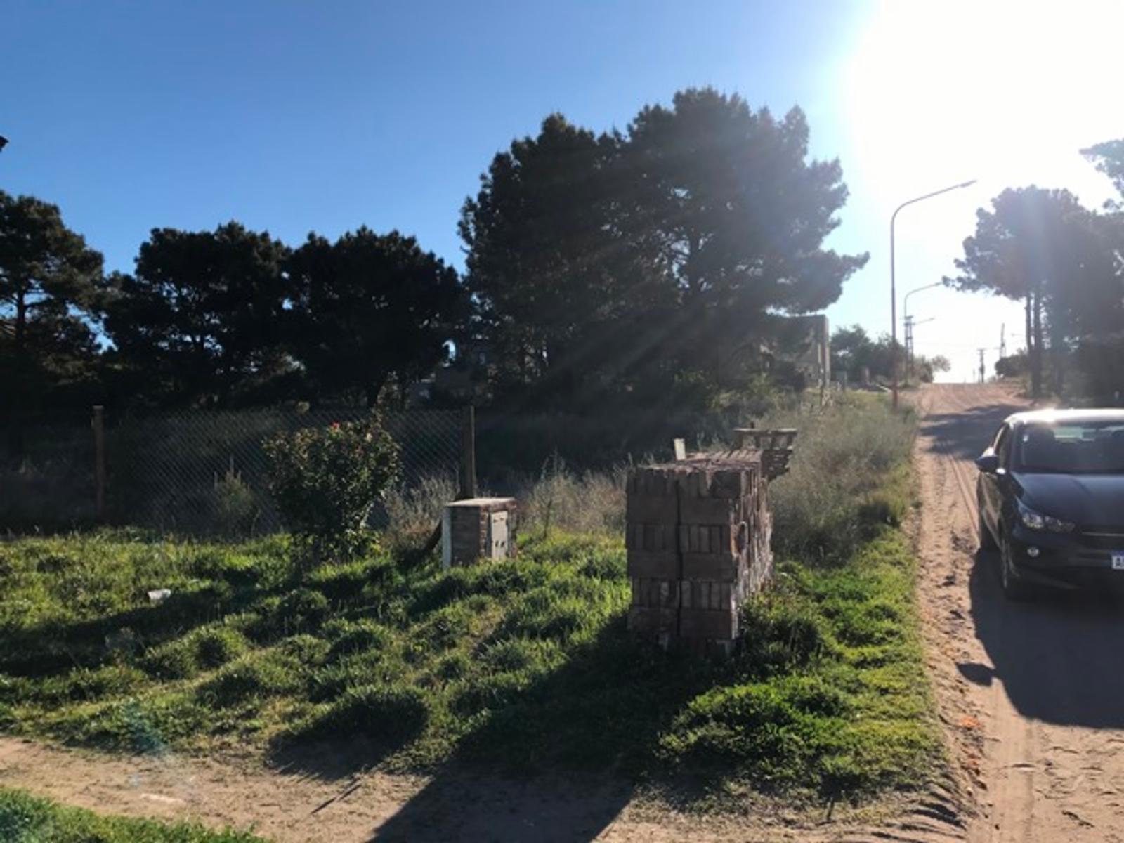 Bosque alegre 441 · Monte Hermoso — foto 10