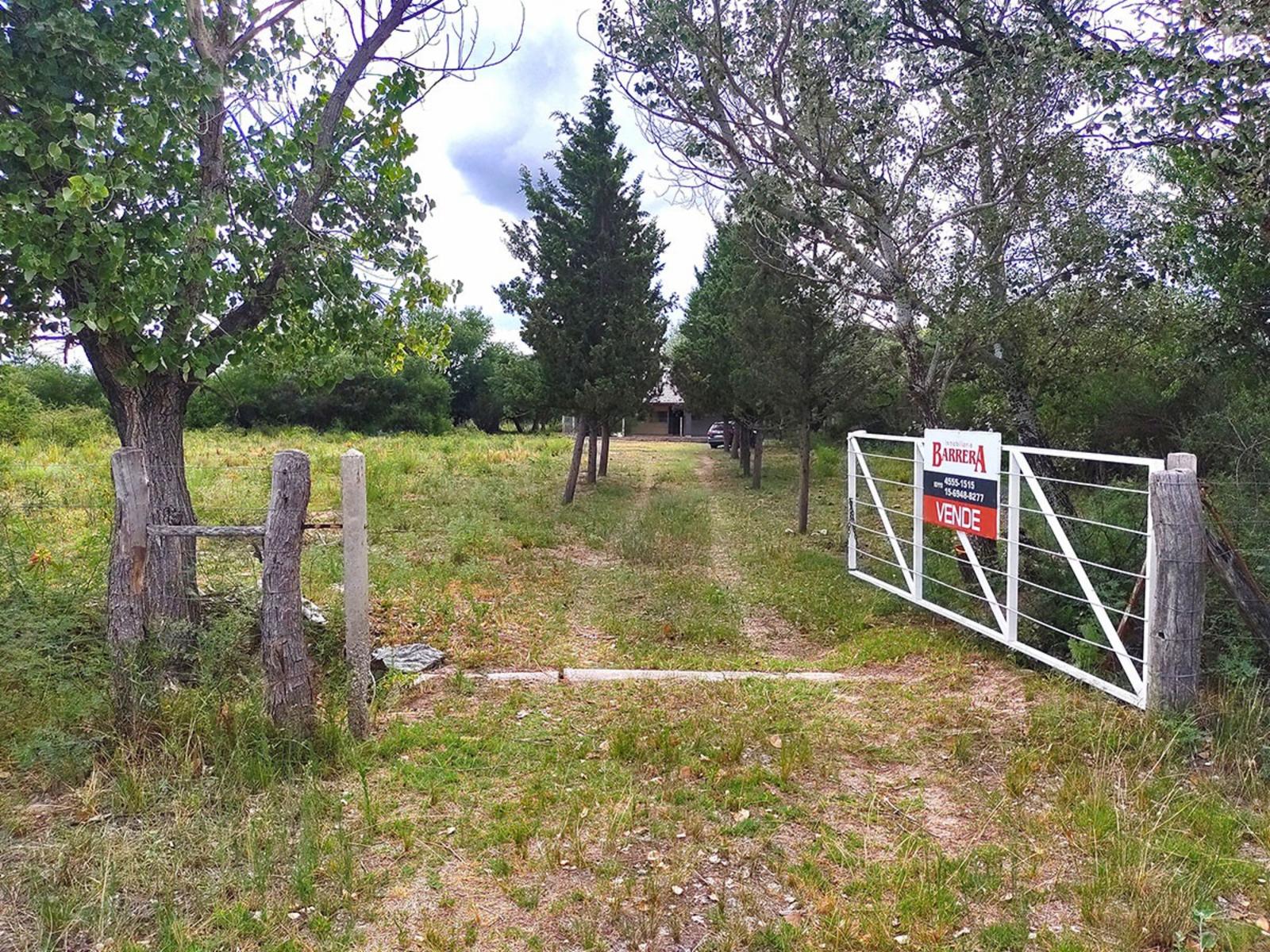 Ruta Provincial 23 sn · Junín — foto 3
