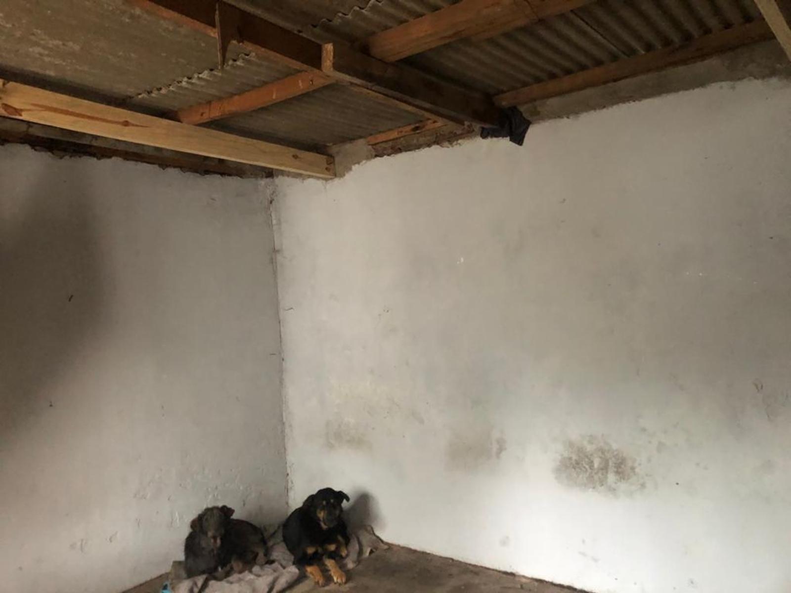 San Cayetano 2349 · Moreno — foto 4