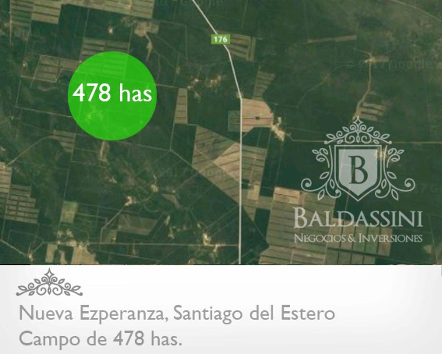 CAMPO DE 479 HAS EN NUEVA ESPERANZA - PELLEGRINI - SANTIAGO DEL ESTERO.
CAMPO CON MONTE BAJO EN PLENA ZONA SOJERA. CAMPO LINDERO EN PRODUCCIÒN DE SOJA. ESCRITURA - PLANOS