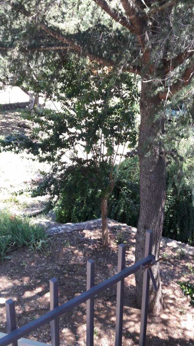 Estancia Vieja · Punilla — foto 8