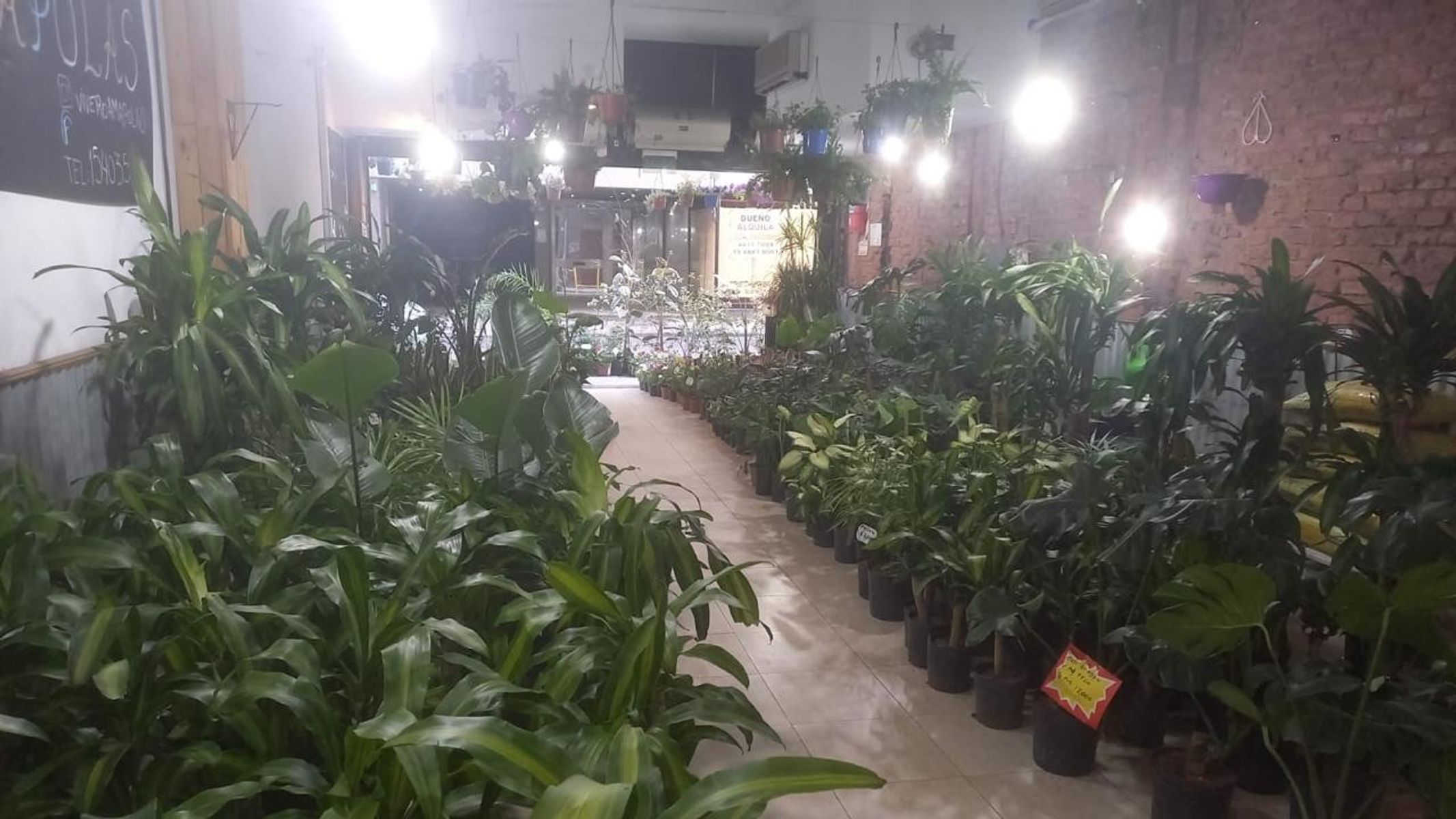 VENTA - LOCAL COMERCIAL - MONSERRAT