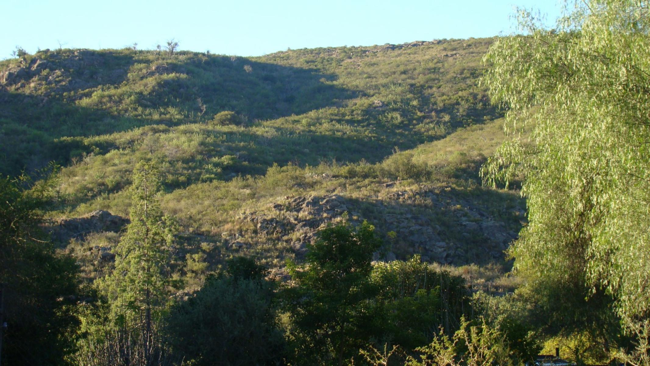 RUTA 14 La Población · San Javier — foto 3