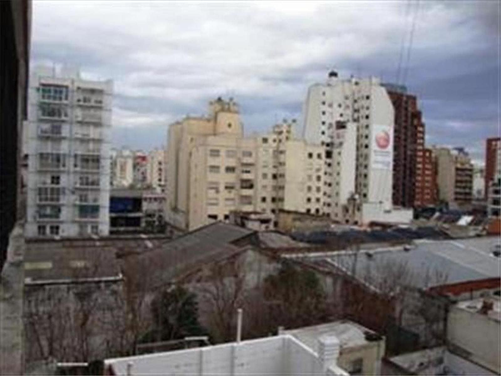 yerbal 2984 · Flores — foto 8