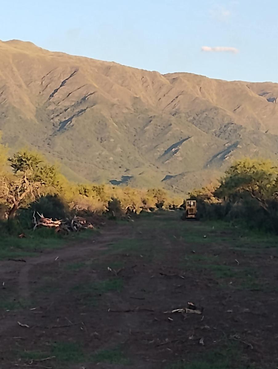 Los molles · La Capital — foto 6