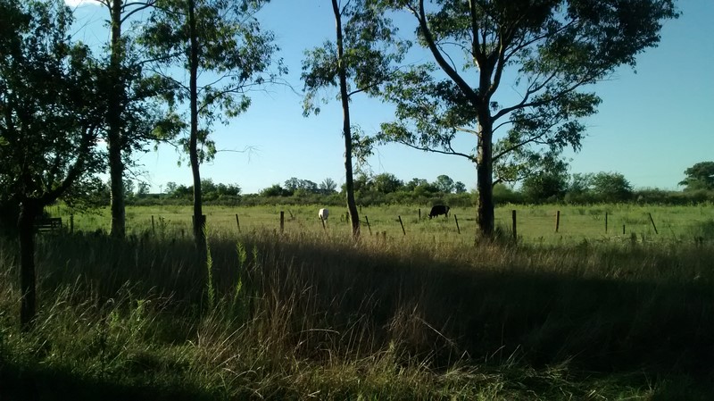 CUCULLU · San Andrés De Giles — foto 5