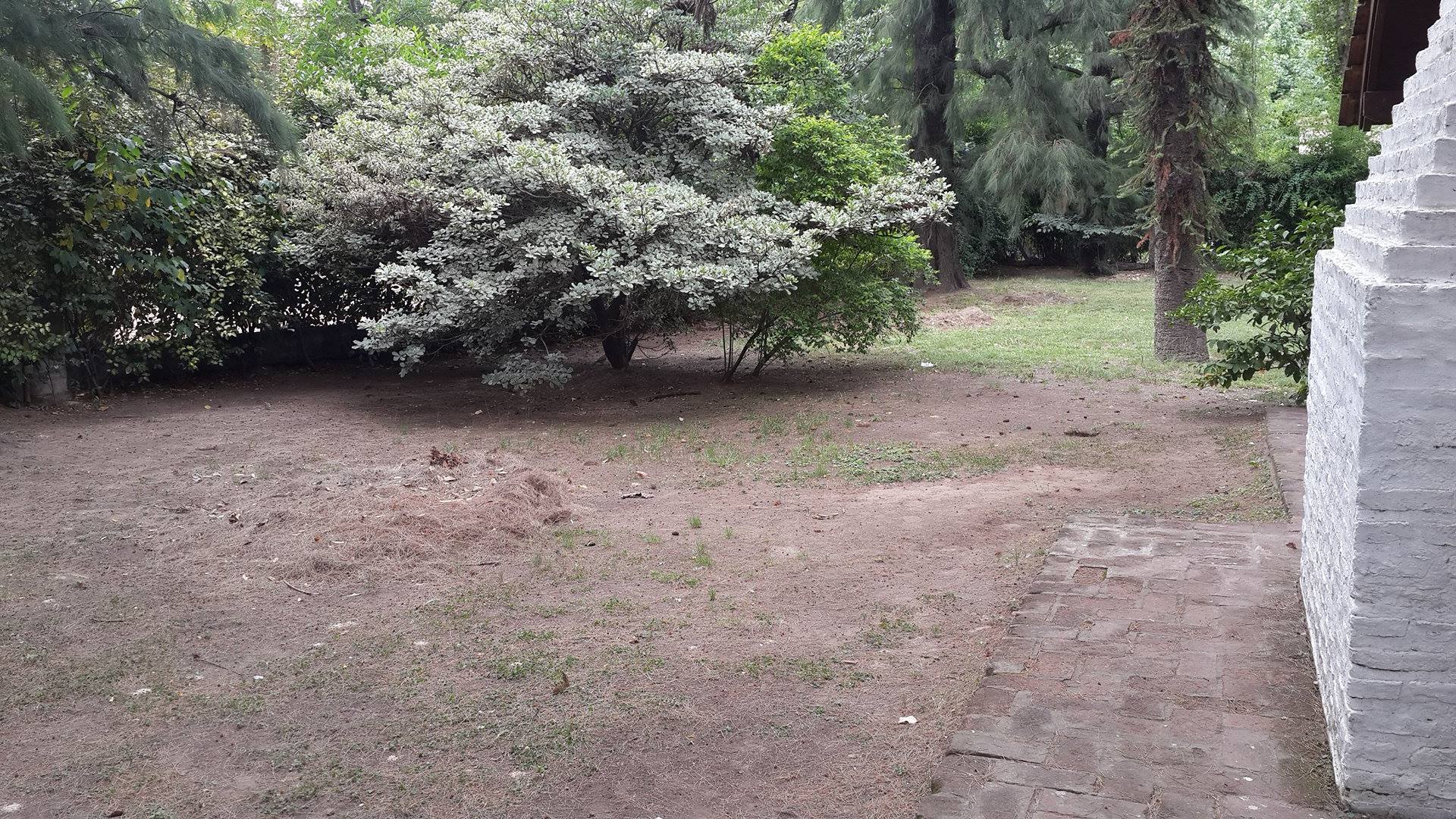 Lope De Vega 2800 · Moreno — foto 9