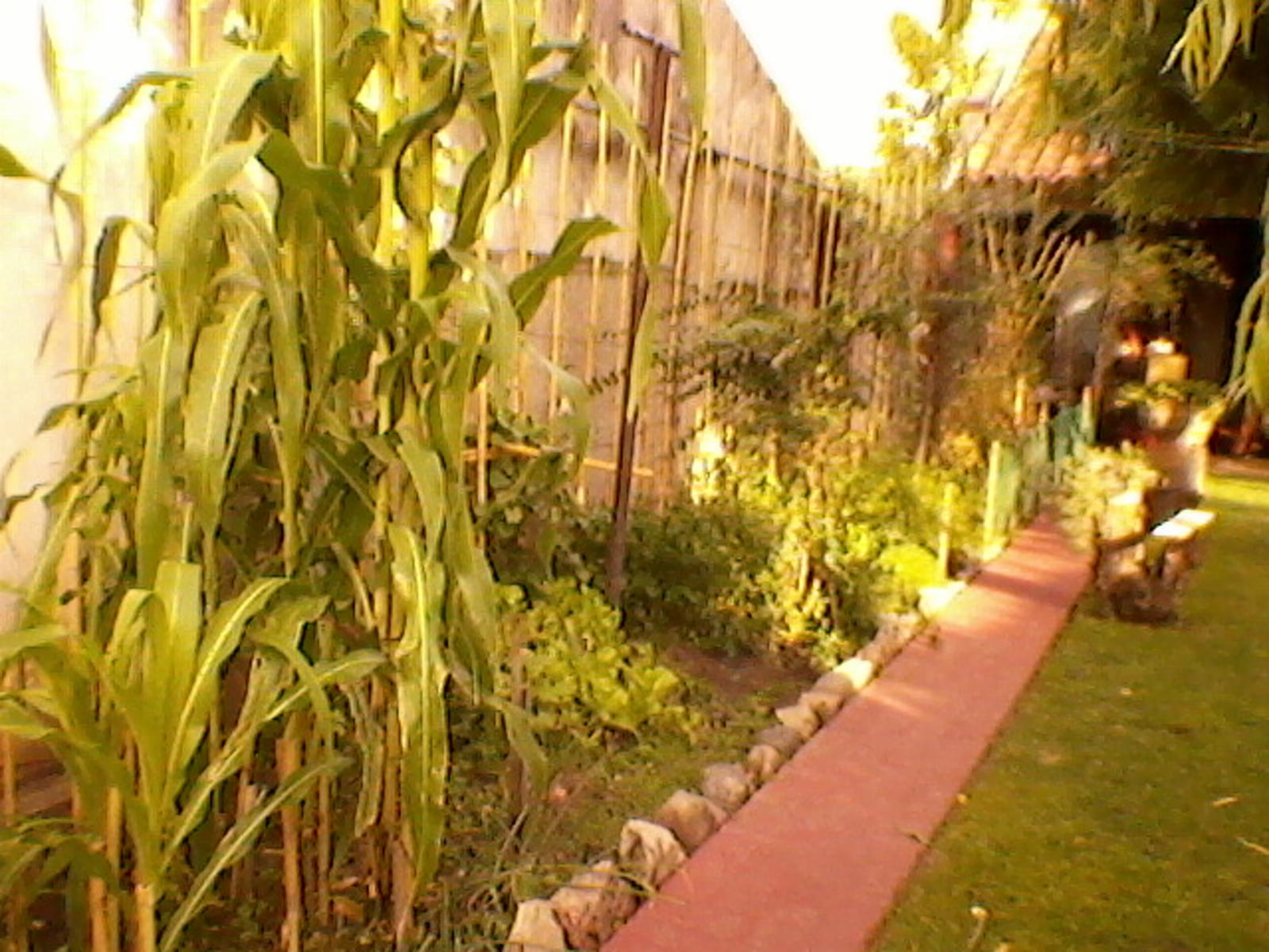 Miguel Cane 2622 · La Matanza — foto 15