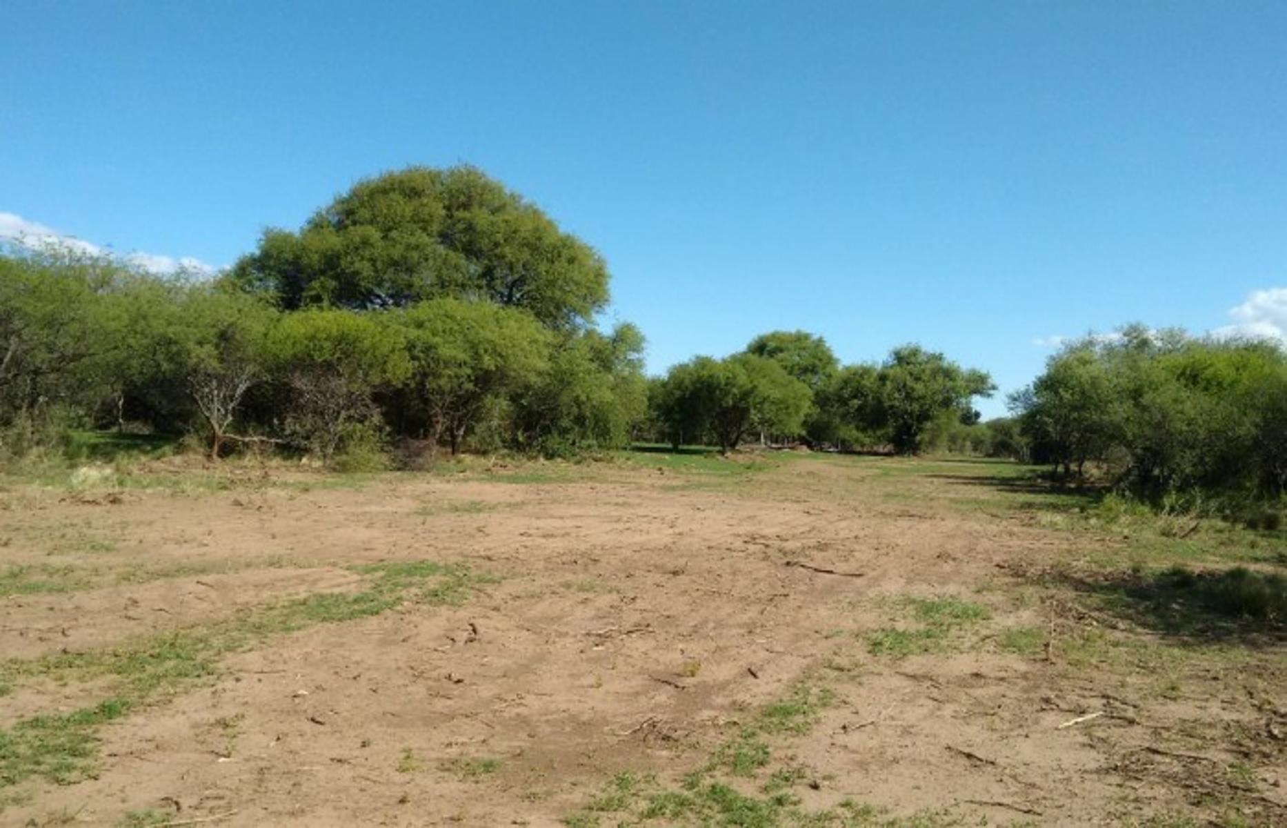 Carpinteria · Junín — foto 11
