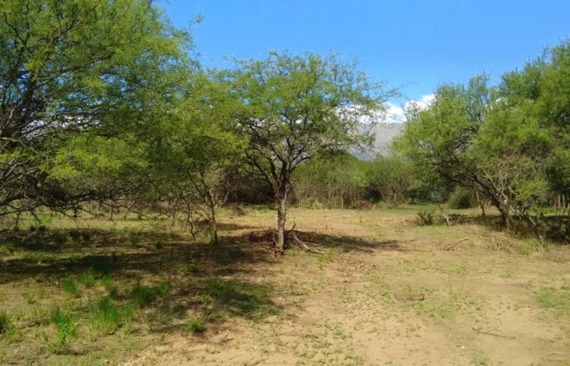 Carpinteria · Junín — foto 12