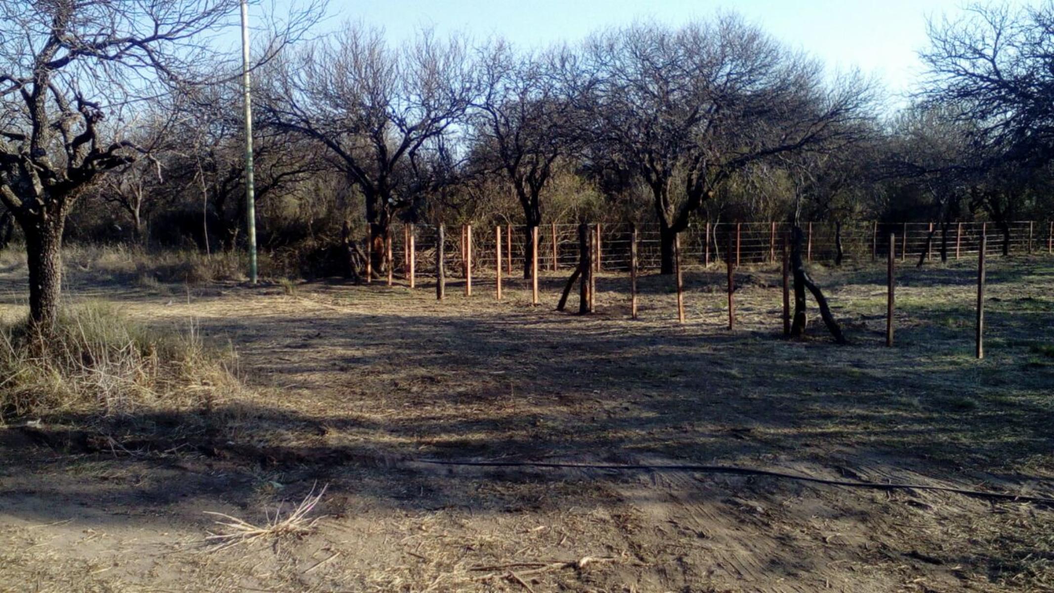 Carpinteria · Junín — foto 15