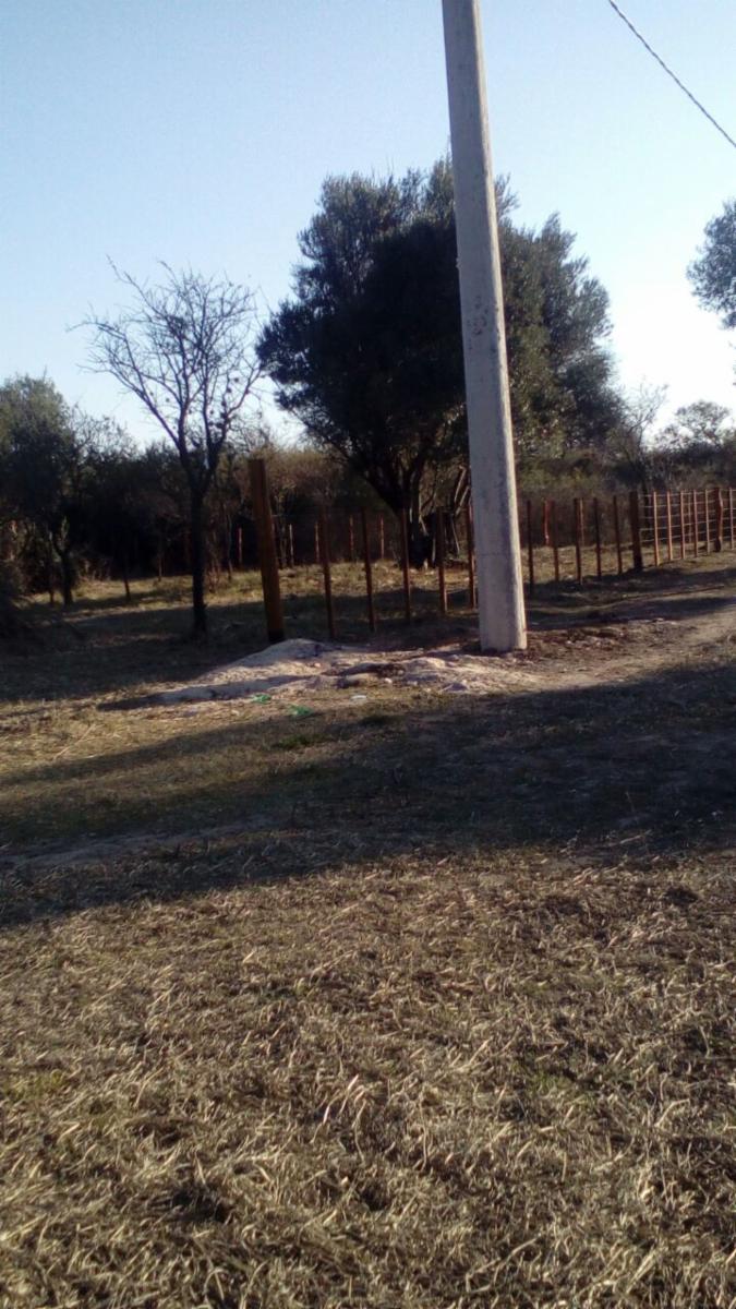 Carpinteria · Junín — foto 16