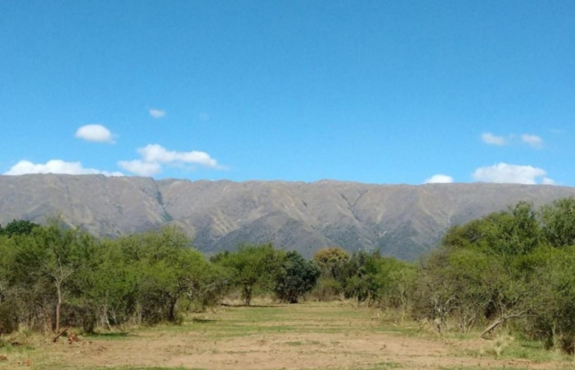 Carpinteria · Junín — foto 19