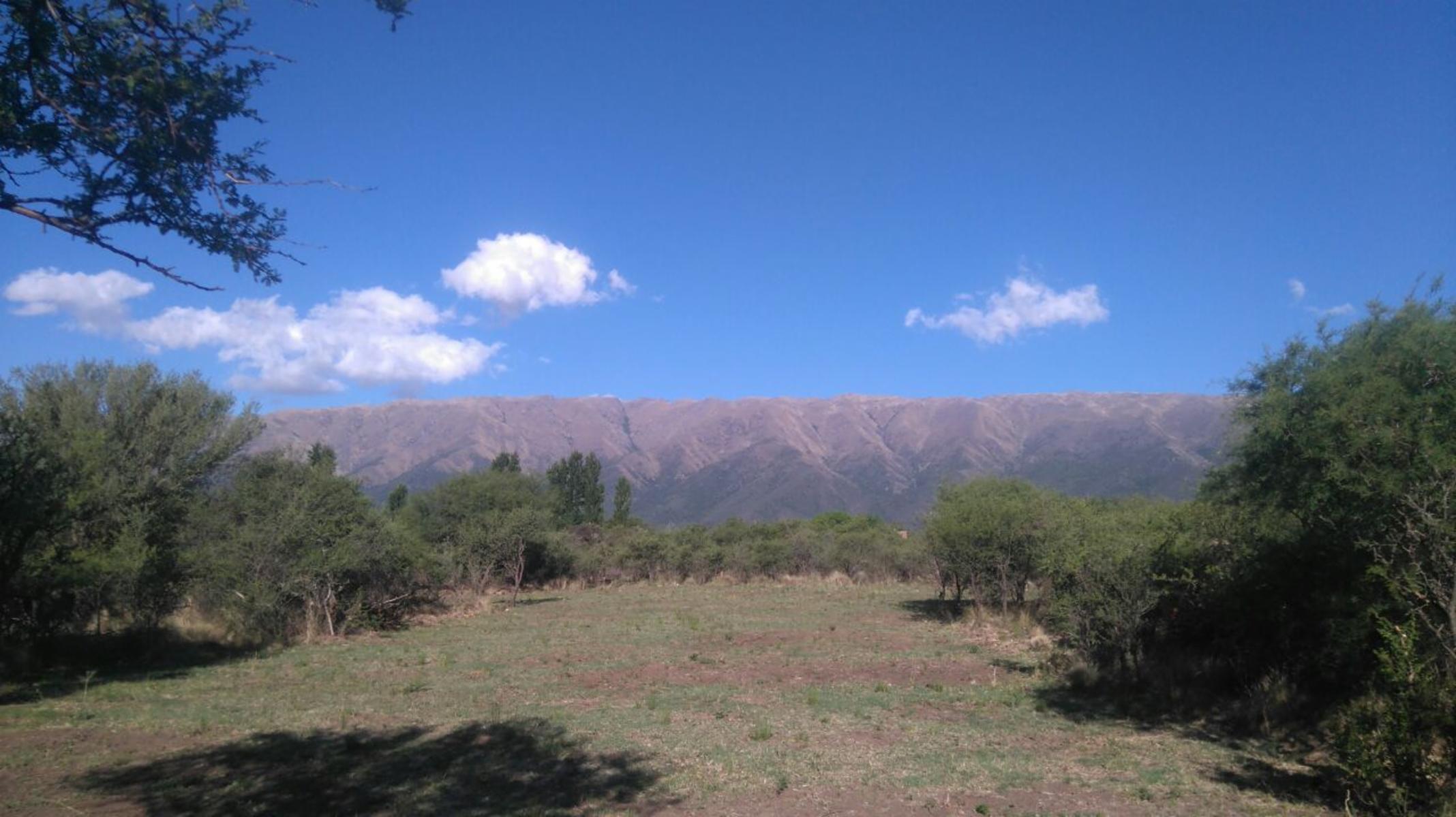 Carpinteria · Junín — foto 7