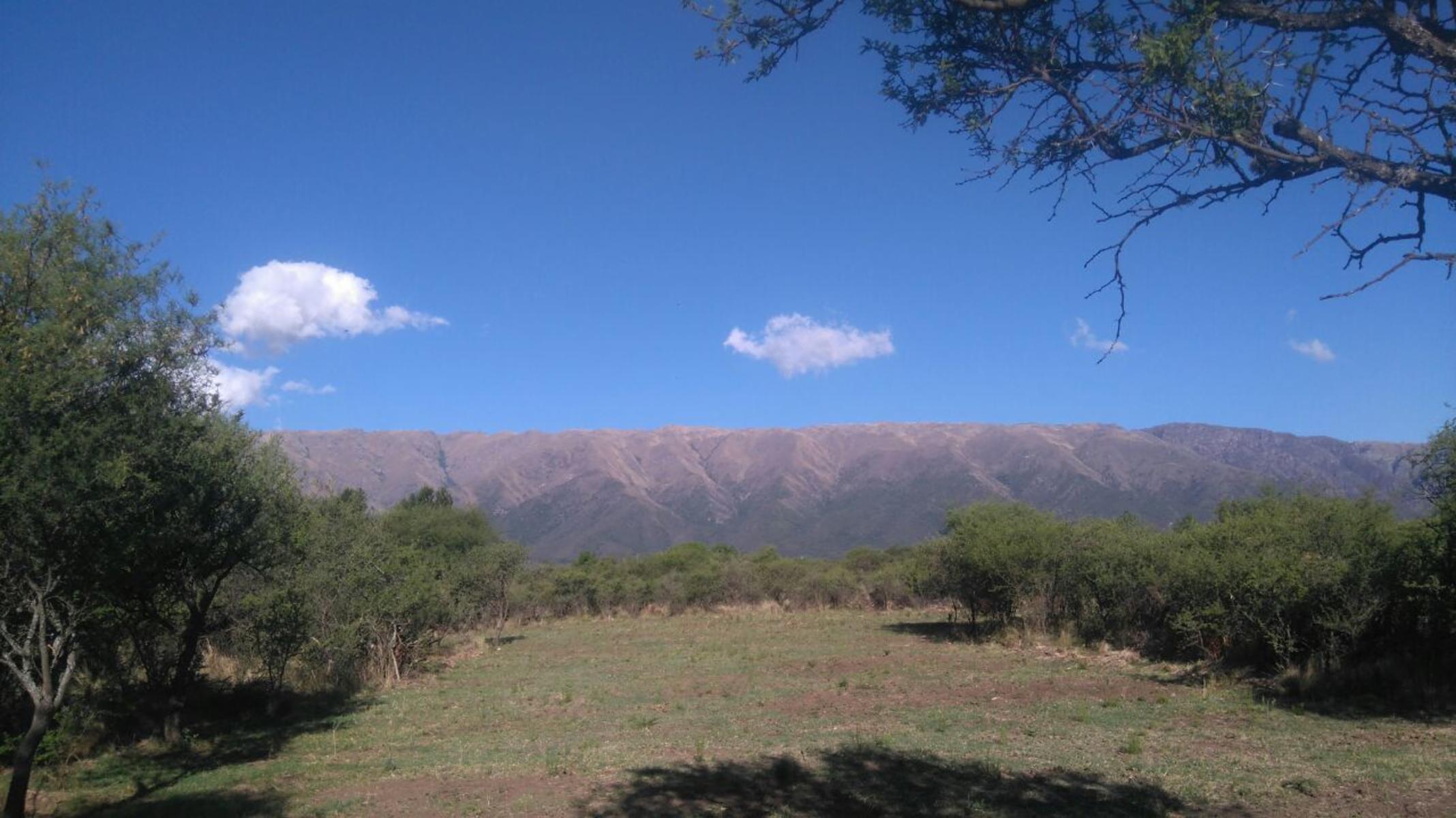 Carpinteria · Junín — foto 8