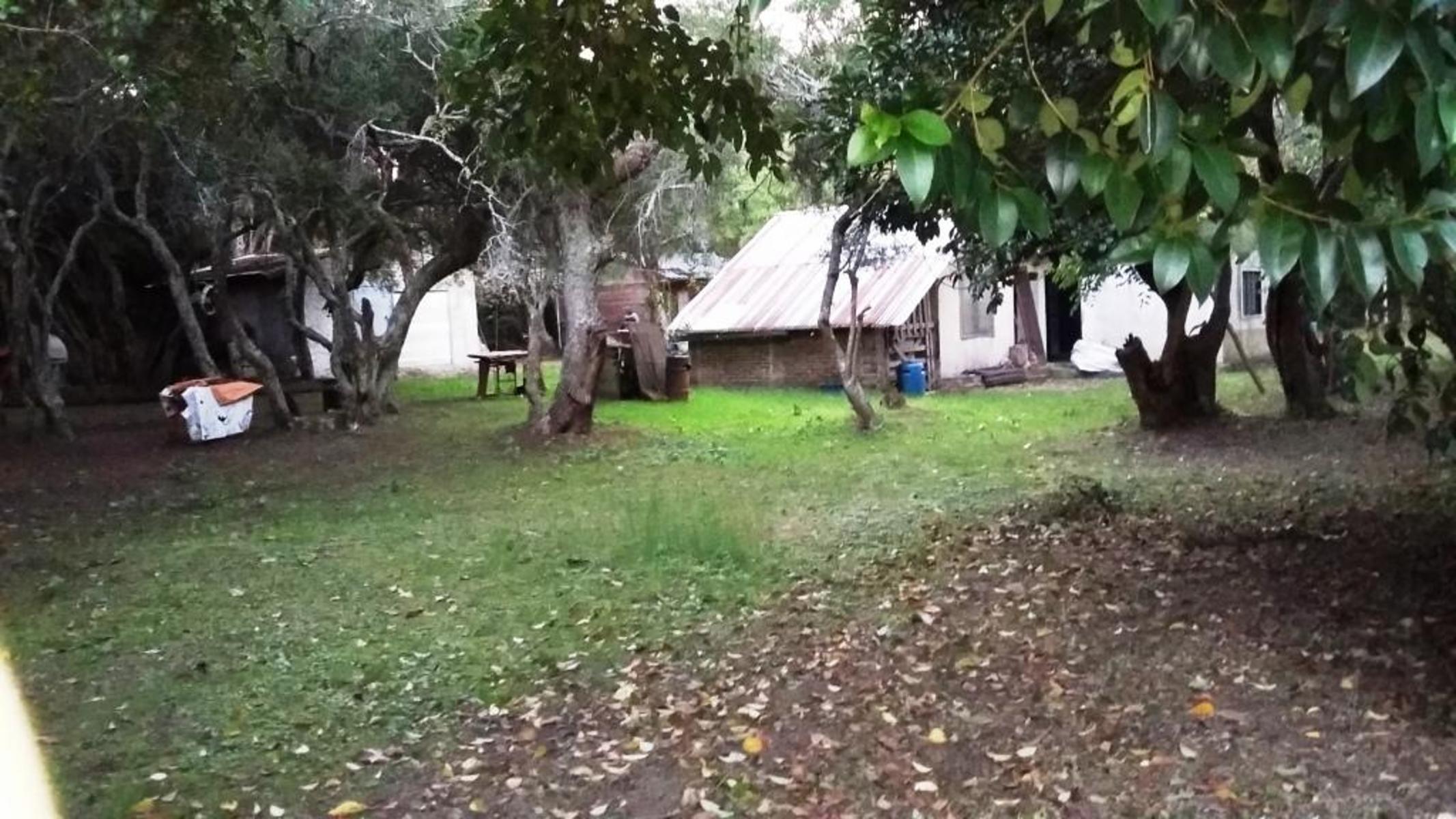 BELGRANO · Punta Indio — foto 3