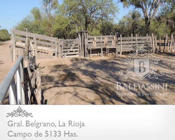 CAMPO GANADERO 5133 HAS. EN NEPES, GRAL. BELGRANO, LA RIOJA . CAMPO ARMADO. SE VENDE A TRANQUERA CERRADA.