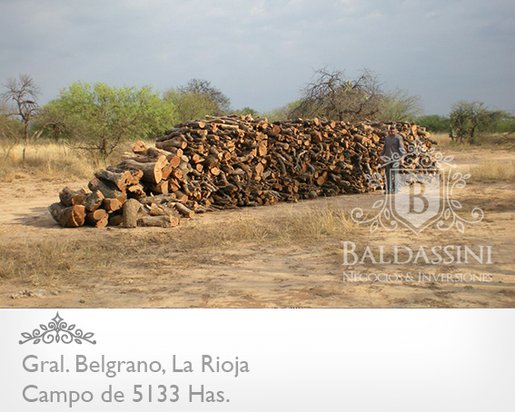 5133 HAS EN NEPES, LA RIOJA - CAMPO GANADERO · General Belgrano — foto 11