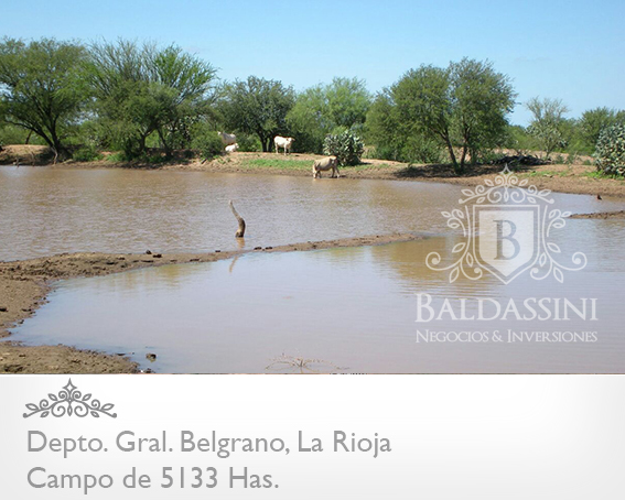 5133 HAS EN NEPES, LA RIOJA - CAMPO GANADERO · General Belgrano — foto 12