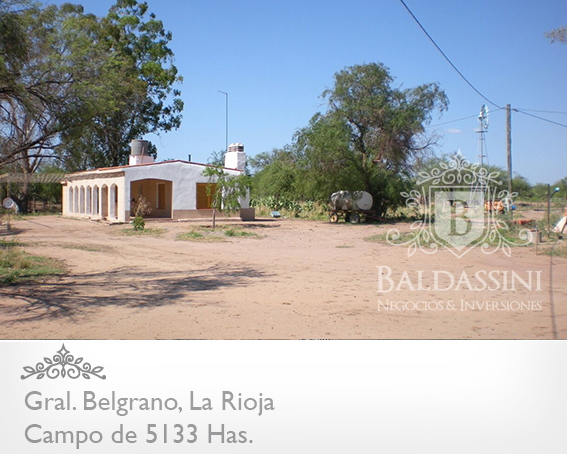 5133 HAS EN NEPES, LA RIOJA - CAMPO GANADERO · General Belgrano — foto 14