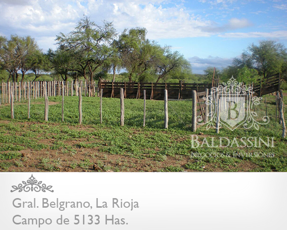 5133 HAS EN NEPES, LA RIOJA - CAMPO GANADERO · General Belgrano — foto 15