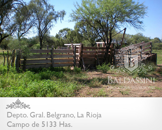 5133 HAS EN NEPES, LA RIOJA - CAMPO GANADERO · General Belgrano — foto 17