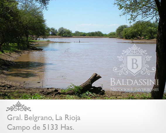 5133 HAS EN NEPES, LA RIOJA - CAMPO GANADERO · General Belgrano — foto 18