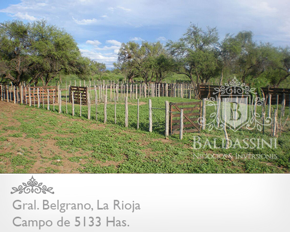 5133 HAS EN NEPES, LA RIOJA - CAMPO GANADERO · General Belgrano — foto 19