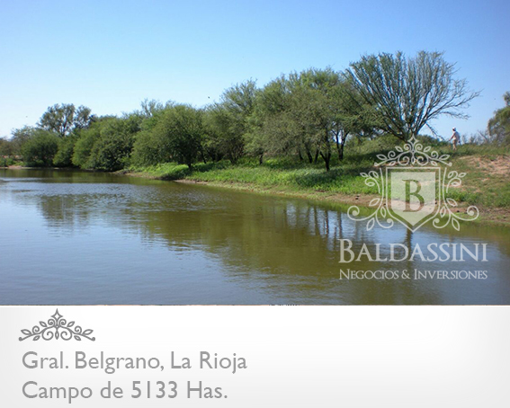 5133 HAS EN NEPES, LA RIOJA - CAMPO GANADERO · General Belgrano — foto 20