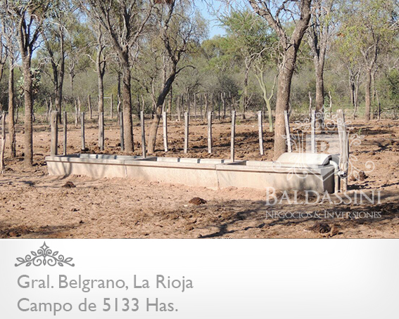 5133 HAS EN NEPES, LA RIOJA - CAMPO GANADERO · General Belgrano — foto 3