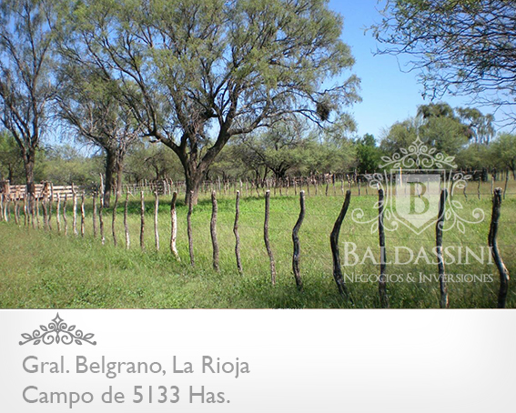 5133 HAS EN NEPES, LA RIOJA - CAMPO GANADERO · General Belgrano — foto 21