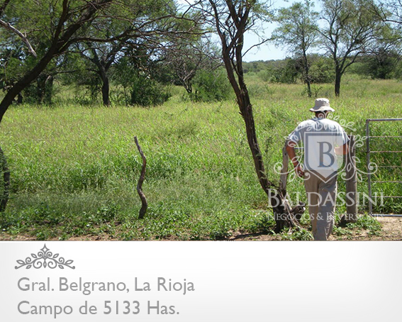 5133 HAS EN NEPES, LA RIOJA - CAMPO GANADERO · General Belgrano — foto 22