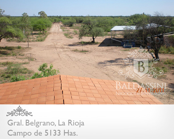 5133 HAS EN NEPES, LA RIOJA - CAMPO GANADERO · General Belgrano — foto 23