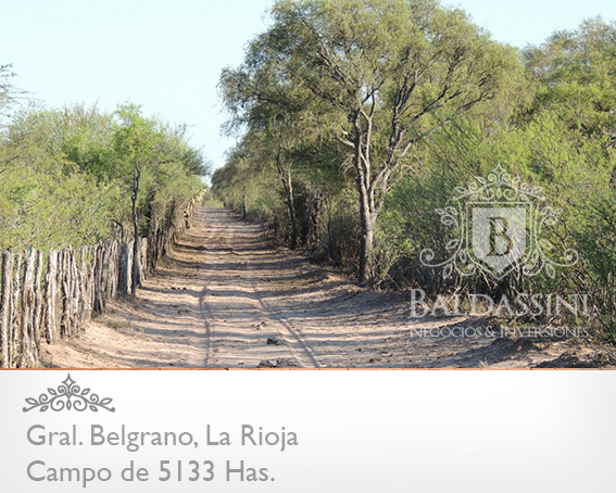 5133 HAS EN NEPES, LA RIOJA - CAMPO GANADERO · General Belgrano — foto 24
