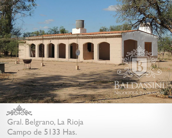 5133 HAS EN NEPES, LA RIOJA - CAMPO GANADERO · General Belgrano — foto 4