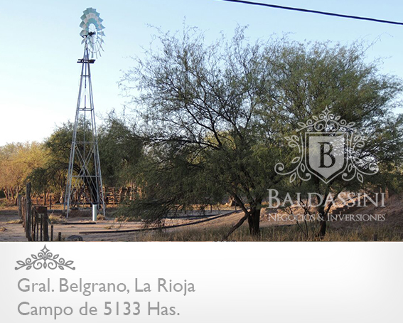 5133 HAS EN NEPES, LA RIOJA - CAMPO GANADERO · General Belgrano — foto 5