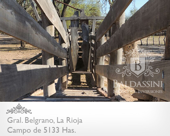 5133 HAS EN NEPES, LA RIOJA - CAMPO GANADERO · General Belgrano — foto 6
