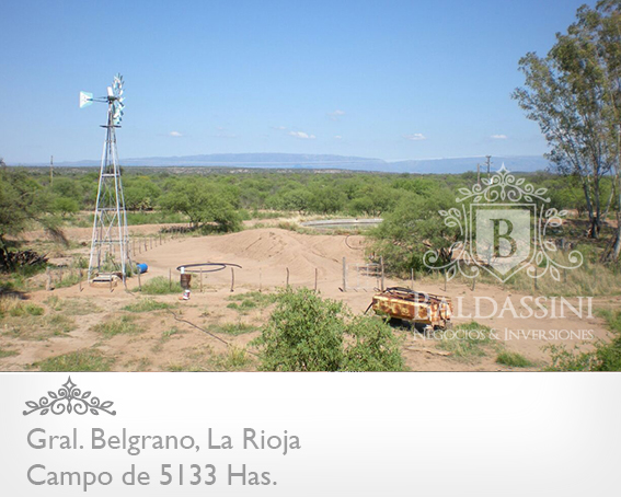 5133 HAS EN NEPES, LA RIOJA - CAMPO GANADERO · General Belgrano — foto 8
