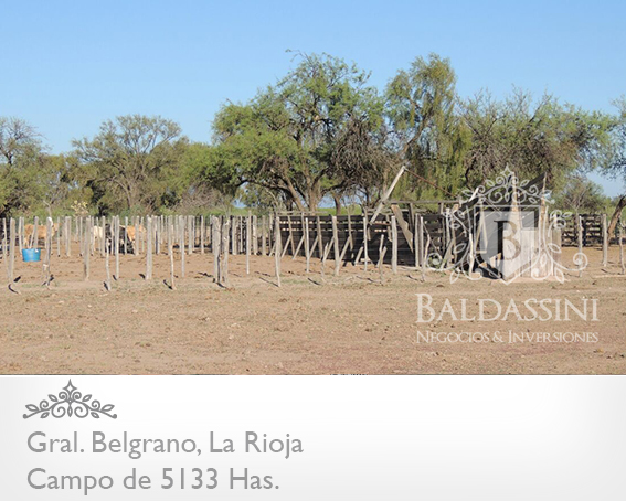 5133 HAS EN NEPES, LA RIOJA - CAMPO GANADERO · General Belgrano — foto 9