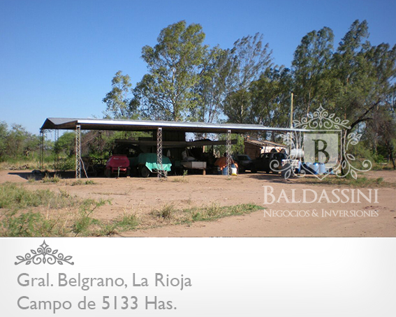 5133 HAS EN NEPES, LA RIOJA - CAMPO GANADERO · General Belgrano — foto 10