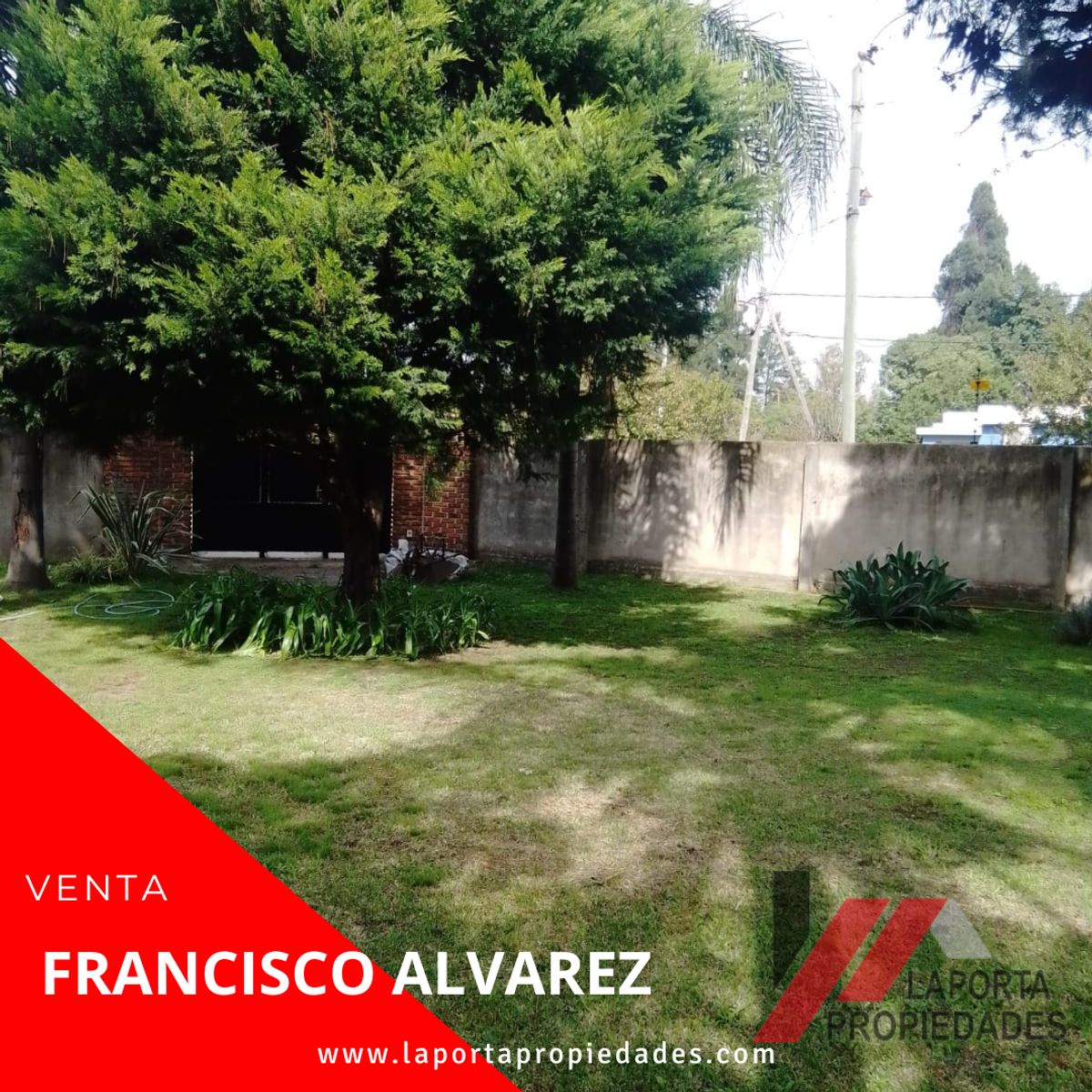 JOSE MIRO · Moreno — foto 3