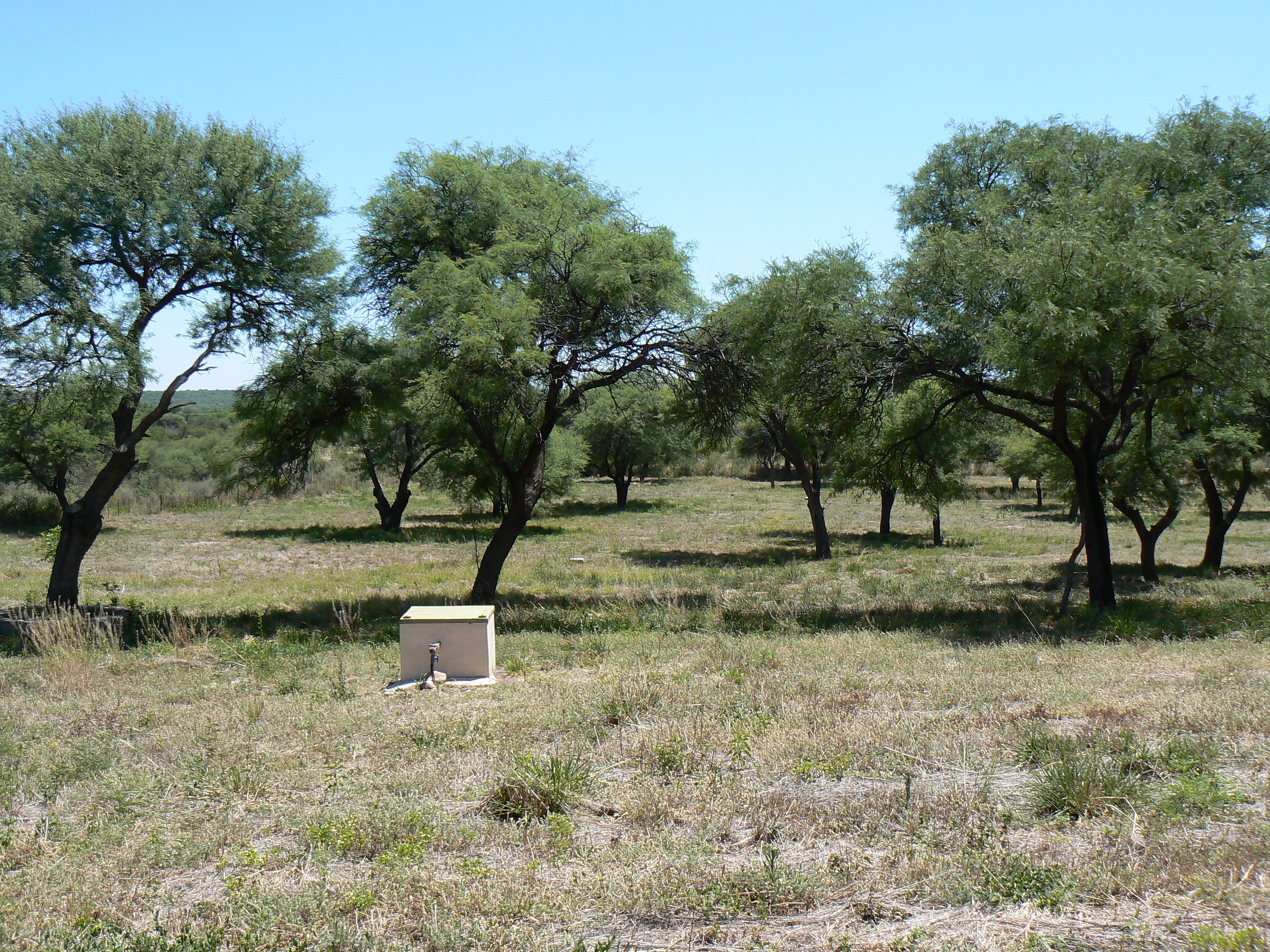 VENDO EXCELENTE TERRENO EN SAN MARCOS SIERRAS, 2 HA PARQUIZADAS, ALAMBRADAS CON LUZ Y AGUA U$S 64.500