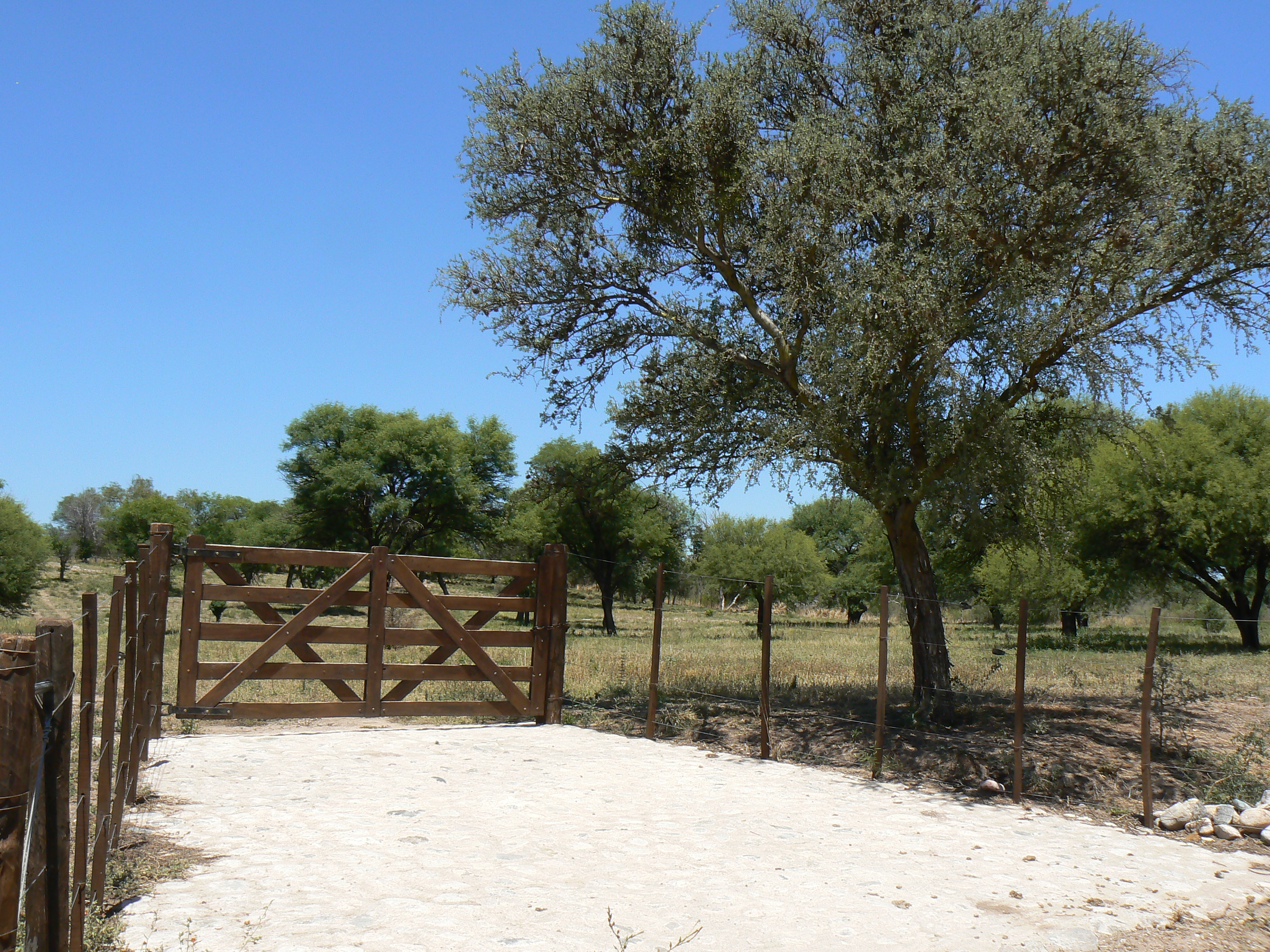CAMINO A SIGUIMAN · Cruz del Eje — foto 3
