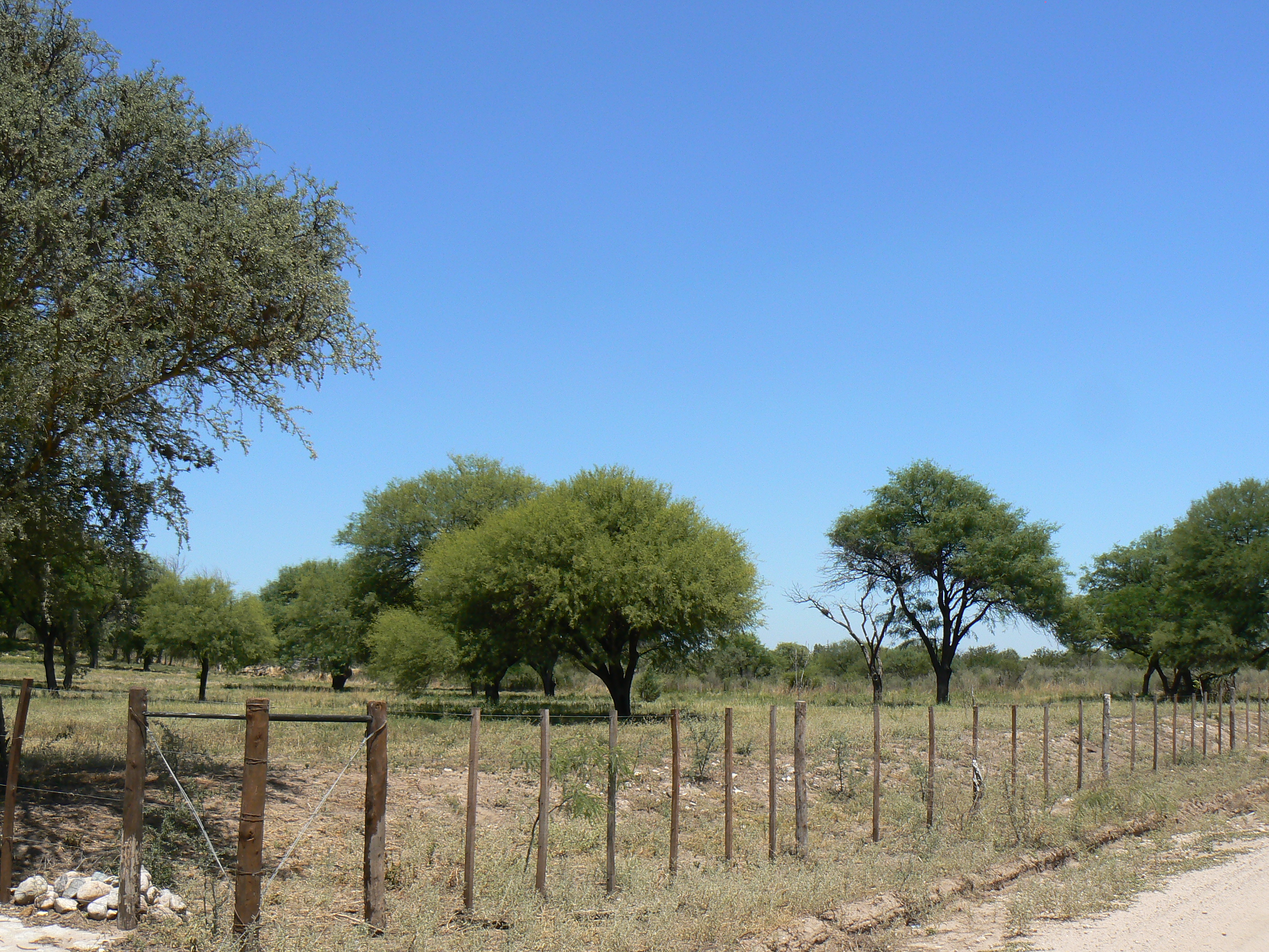 CAMINO A SIGUIMAN · Cruz del Eje — foto 4