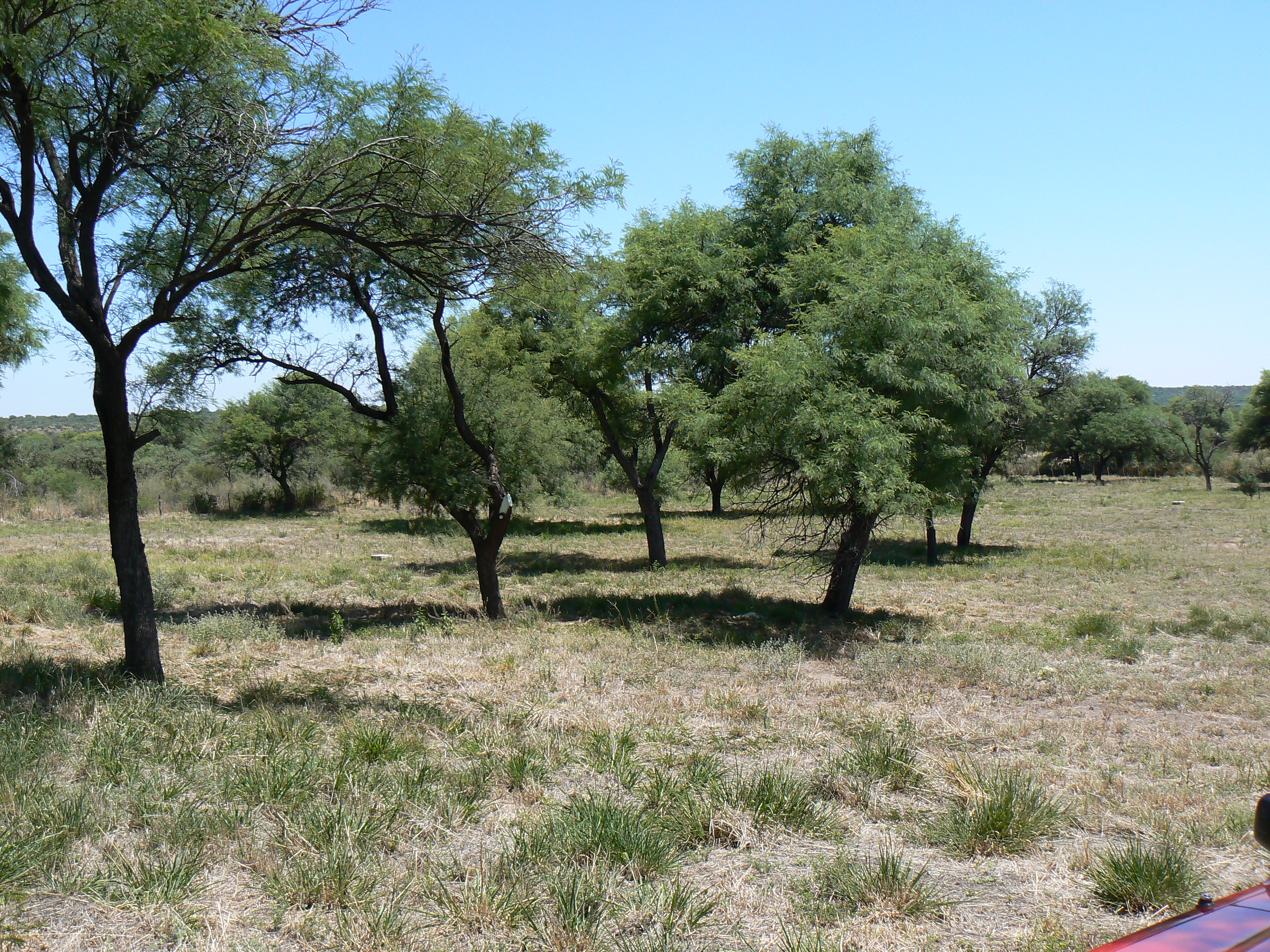 CAMINO A SIGUIMAN · Cruz del Eje — foto 5