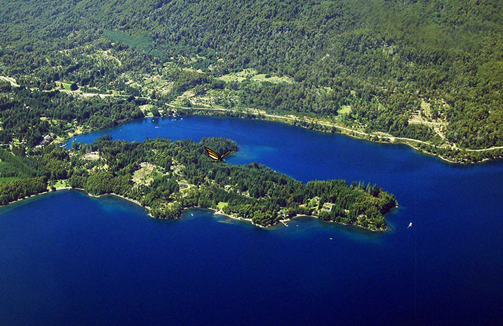 Los Pinos · Los Lagos — foto 16
