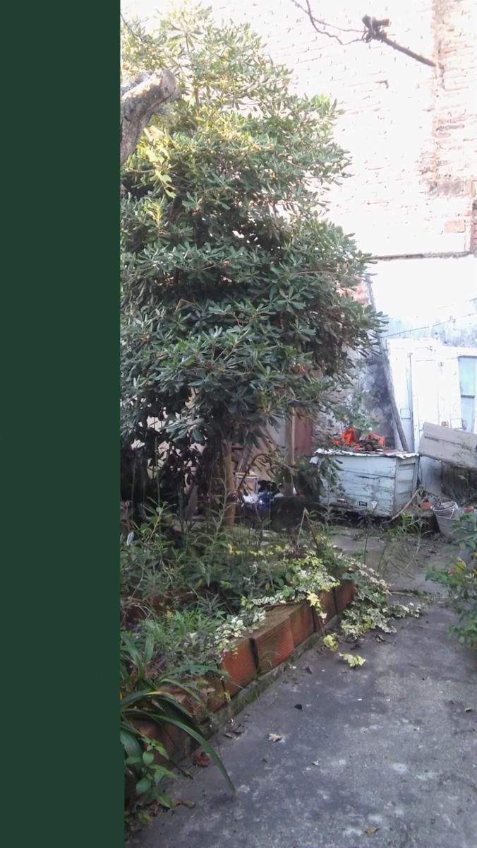 pastor ferreyra 3625 · Lanús — foto 8
