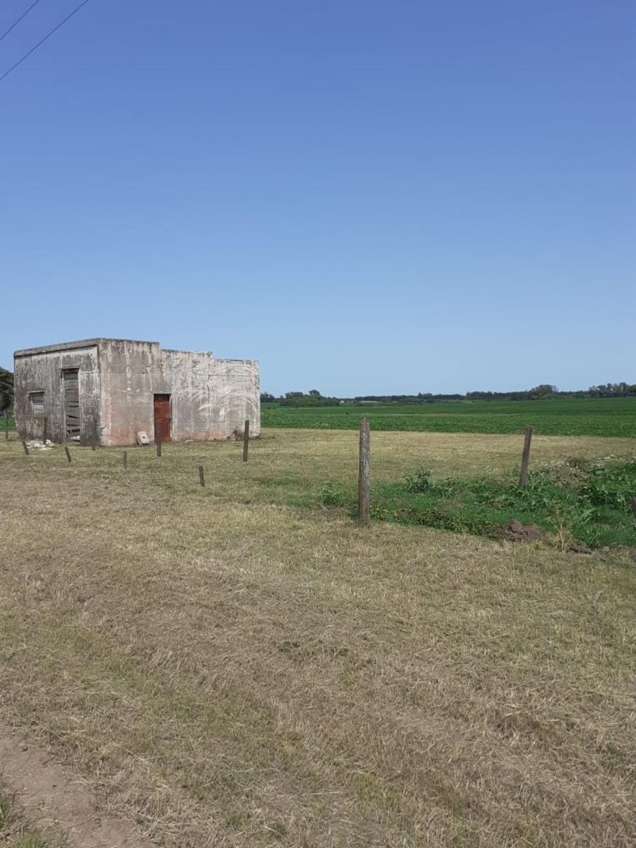 Camino Real · San Pedro — foto 11