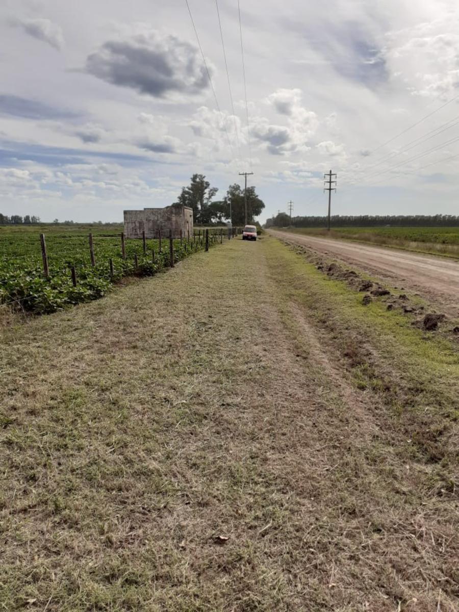 Camino Real · San Pedro — foto 13
