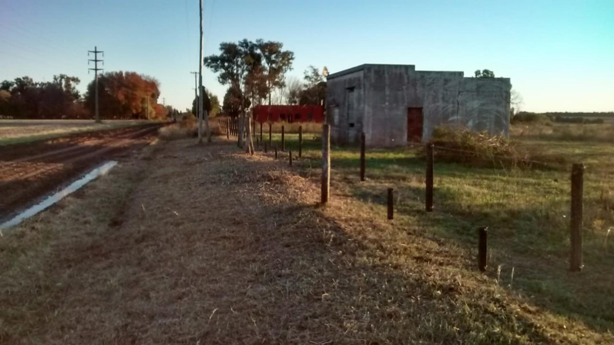 Camino Real · San Pedro — foto 14